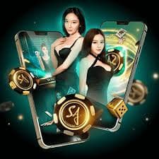 3335bet